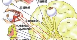 Random 脳 The first that resonates through the room is a sharp clanging noise, followed quickly by a low rumbling hum.