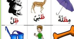 Random ظ