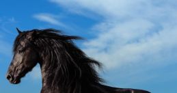 ofthehorse