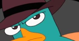 Perry growl 1