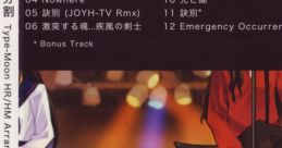 17 Bunkatsu 十七分割 Juunana Bunkatsu 17 Division - Type-Moon HR-HM Arrange - Video Game