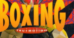 4D Sports Boxing (IBM PC-XT-AT, AdLib) - Video Game