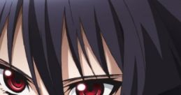 Akame ga Kill (game) - Video Game