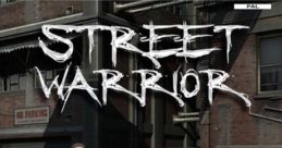 Street Warrior - Video Game