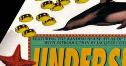 Undersea Adventure - Video Game