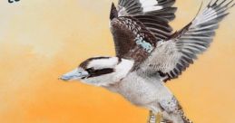 WINGSPAN Digital edition ORIGINAL TRACK Wingspan Oceania Expansion - Video Game