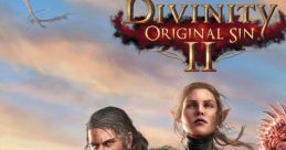 Divinity: Original Sin 2 - Video Game