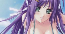 SHIKIGAMI Original Track 式神 Original Track - Video Game