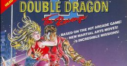 Double Dragon 2 - The Revenge ダブルドラゴンII ザ・リベンジ - Video Game