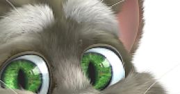 Talking Tom Cat 2 - Video Game