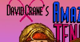 David Crane's Amazing Tennis アメージングテニス - Video Game