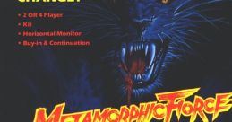 Metamorphic Force (Mystic Warriors) メタモルフィックフォース - Video Game