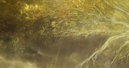 Elden Ring Artbook and OST - Video Game