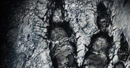 Evolve - Video Game