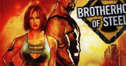 Fallout - Brotherhood of Steel - Video Game