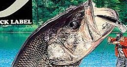 Hyper Black Bass '95 ハイパーブラックバス'95 - Video Game