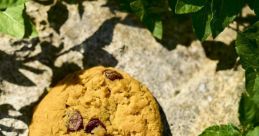 Cookie Clicker - Video Game Video game from Cookie Clicker for Windows. Published by DashNet, Playsaurus (2021). Uploaded