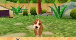 Imagine: Animal Doctor Care Center Imagine: Rescue Vet - Video Game