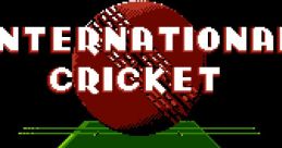 International Cricket - Video Game