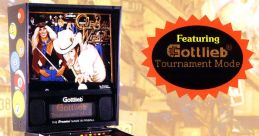 Cue Ball Wizard (Gottlieb Pinball) - Video Game