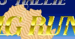 Jaleco Rally Big Run: The Supreme 4WD Challenge ビッグラン - Video Game