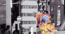DARIUS THE OMNIBUS II -Gunzou- DARIUS THE OMNIBUS II -群像- - Video Game