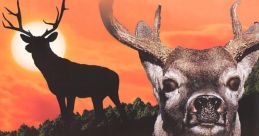 Deer Hunting USA - Video Game