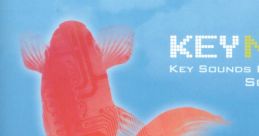 KEYNOTE -Key Remix Album- - Soshi Hosoi - Video Game