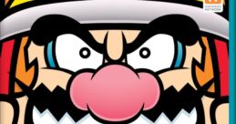 Game & Wario - Video Game