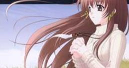 Kimi no Omoi, Sono Negai Complete tracks 君の想い、その願い Complete tracks - Video Game