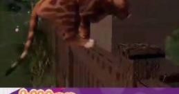 Discovery Kids: Kitten Corner My Pet Kitten - Video Game