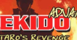 Gekido Advance: Kintaro's Revenge - Video Game