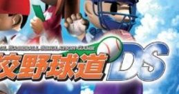 Koukou Yakyuudou DS 高校野球道DS - Video Game