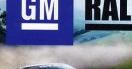 GM Rally - Video Game