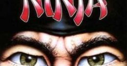 Last Ninja - Video Game
