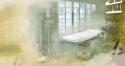 Grey's Anatomy: The Video Game - Video Game