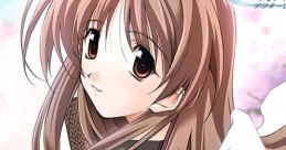 High-Resolution tracks Memories Off After Rain High Resolution tracks メモリーズオフ After Rain - Video Game Video game