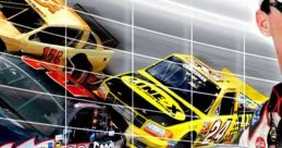 NASCAR 2005: Chase for the Cup - Video Game