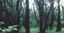 P.T. (Silent Hill) - Video Game Video game from P.T. (Silent Hill) for PS4.