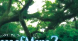 Pieces of Mana 2 - Video Game