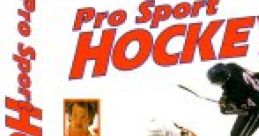 Pro Sport Hockey USA Ice Hockey in FC USAアイスホッケー IN FC - Video Game