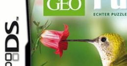 Puzzle: Geo - Video Game