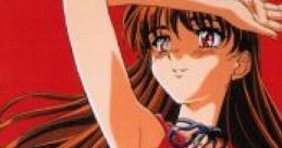 ROOMMATE RYOKO INOUE ~NIJI wo Mita NATSU~ ルームメイト 井上涼子 ～虹をみた夏～ - Video Game