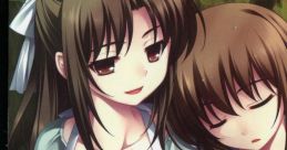 Rui wa Tomo wo Yobu -Ashita no Mukou ni Mieru Kaze- るいは智を呼ぶ －明日のむこうに視える風－ - Video Game Video game