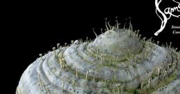 Samorost 2 - Video Game