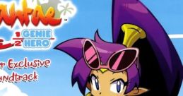 Shantae: Half-Genie Hero Backer Exclusive - Video Game