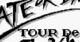 Skate or Die: Tour de Thrash - Video Game