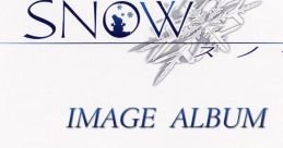 Snow Image Album - Video Game