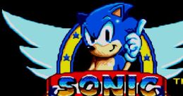 Sonic The Hedgehog FM - Video Game