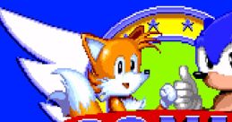 Sonic 2 Archives (Hack) - Video Game